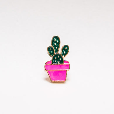 pin-cactus